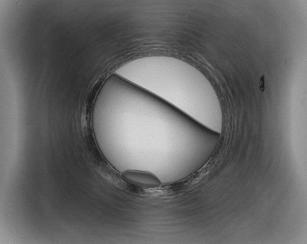 X0000116670516200912140948