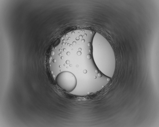 X0000116670519200912140948