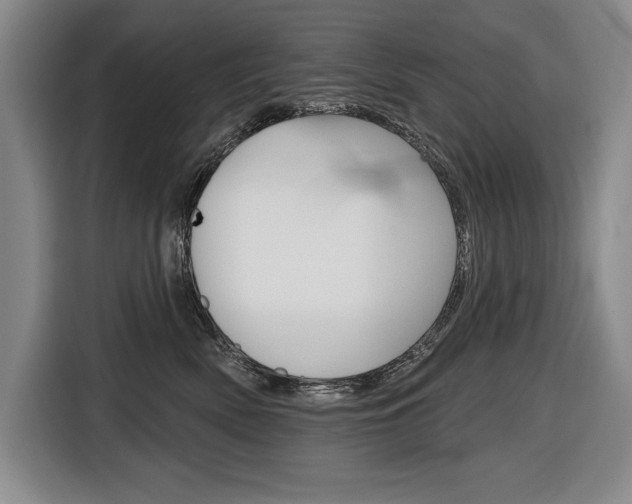 X0000116670522200912140948