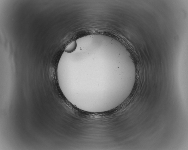 X0000116670523200912140948