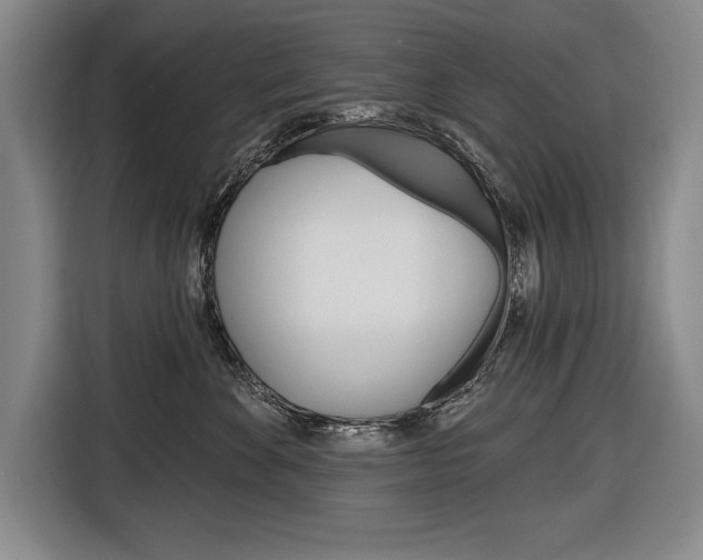 X0000116670524200912140948