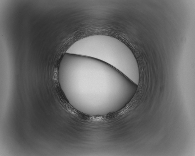 X0000116670528200912140948