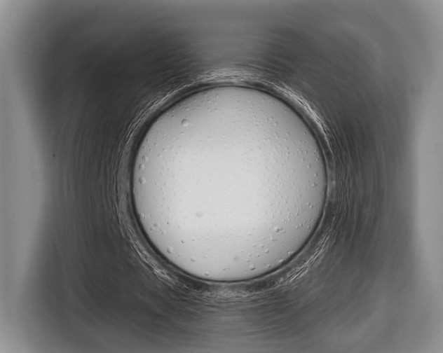 X0000116670529200912140947