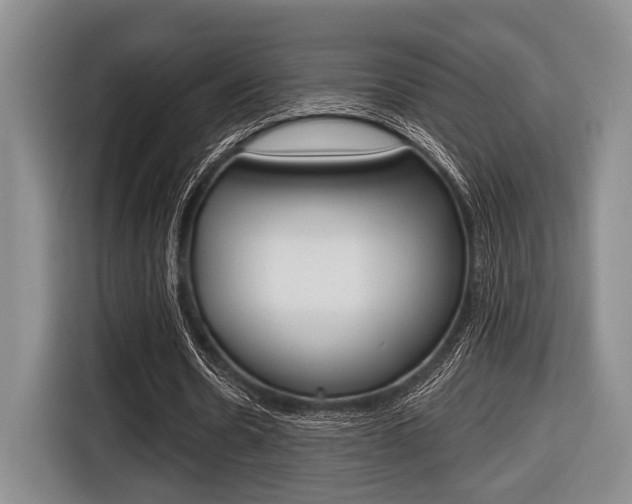 X0000116670530200912140947