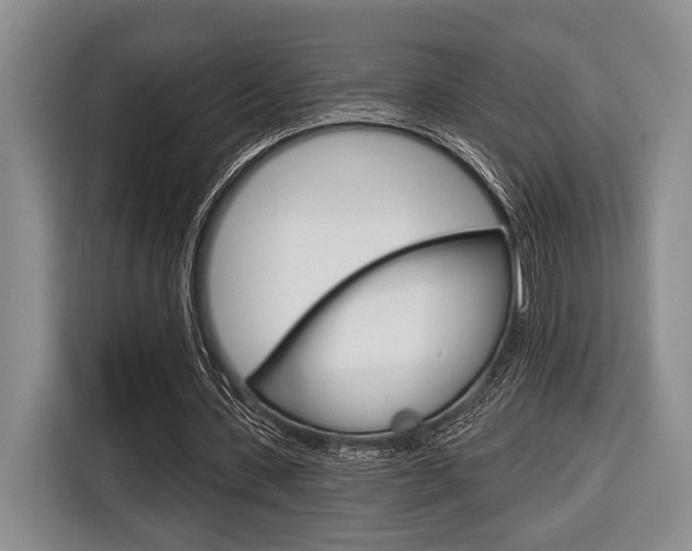 X0000116670531200912140947