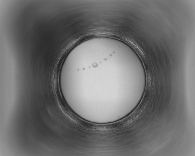 X0000116670533200912140947