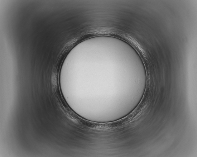 X0000116670537200912140947
