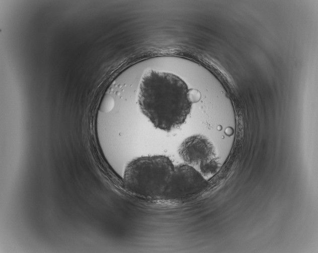 X0000116670541200912140947