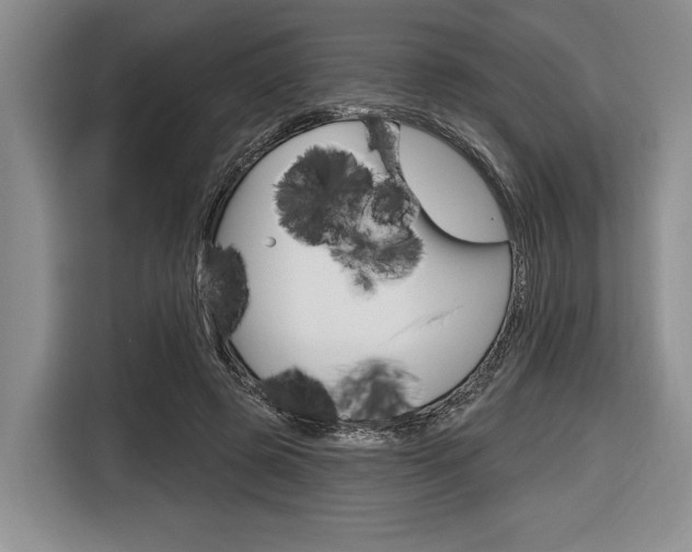 X0000116670545200912140947