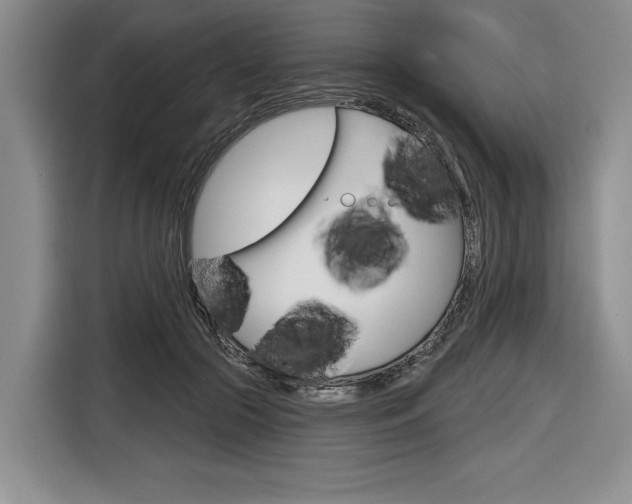 X0000116670553200912140947