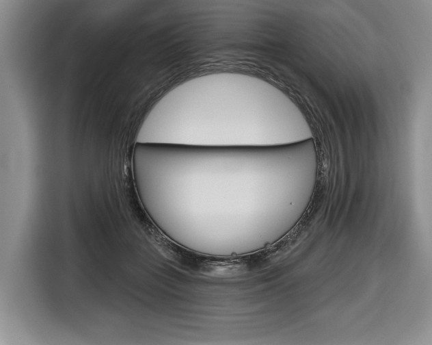 X0000116670555200912140947