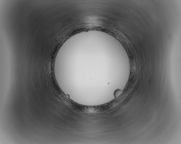 X0000116670565200912140947