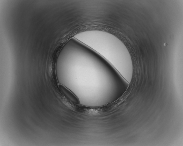 X0000116670566200912140947