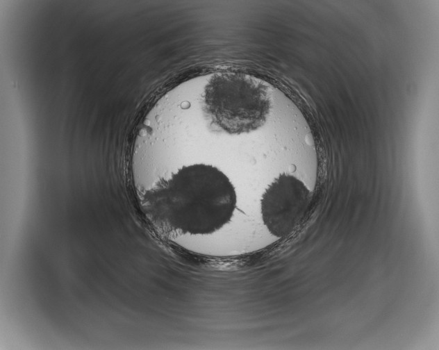 X0000116670569200912140947