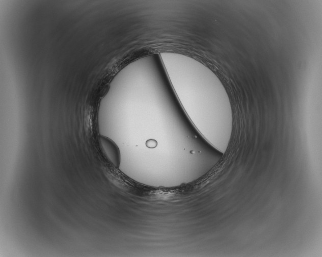 X0000116670570200912140948