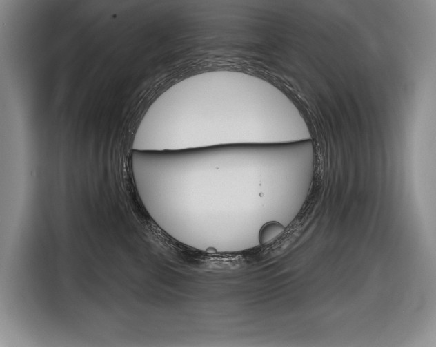 X0000116670571200912140948