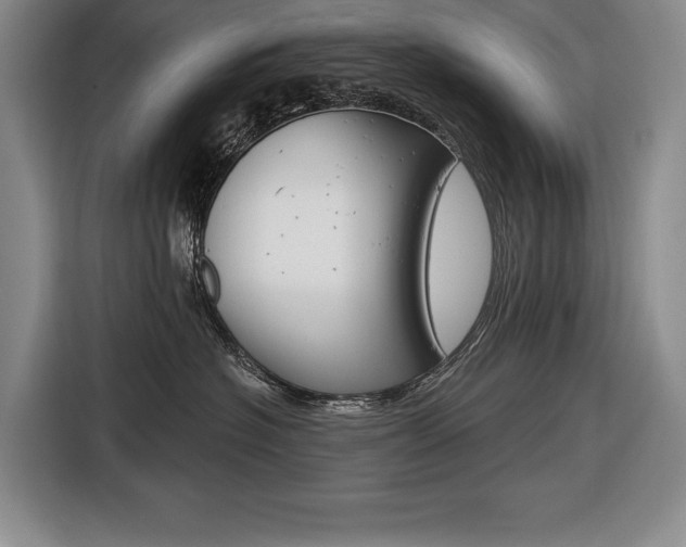 X0000116670574200912140948