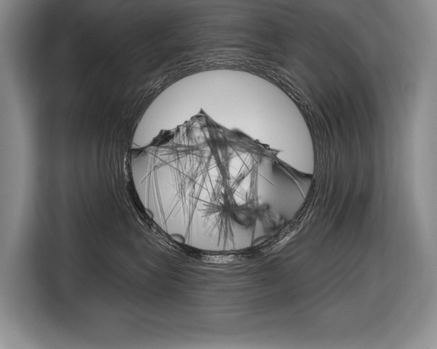 X0000116670575200912140948