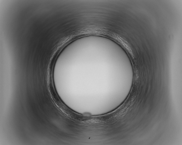 X0000116670578200912140947
