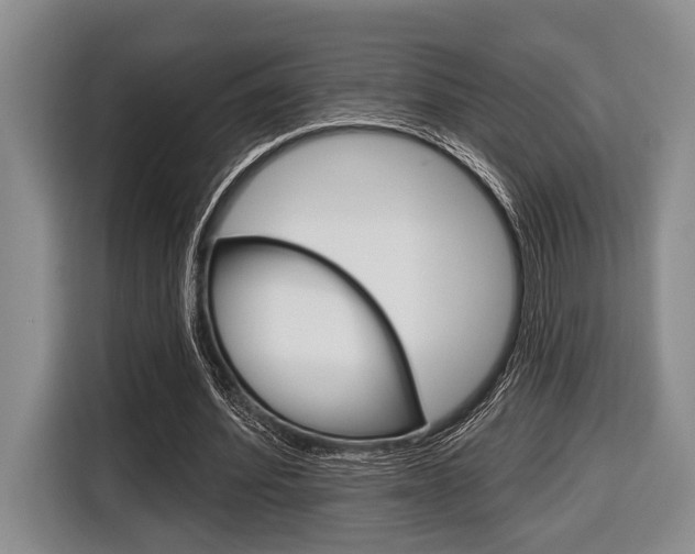 X0000116670580200912140947
