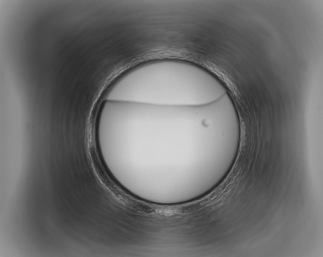 X0000116670582200912140947