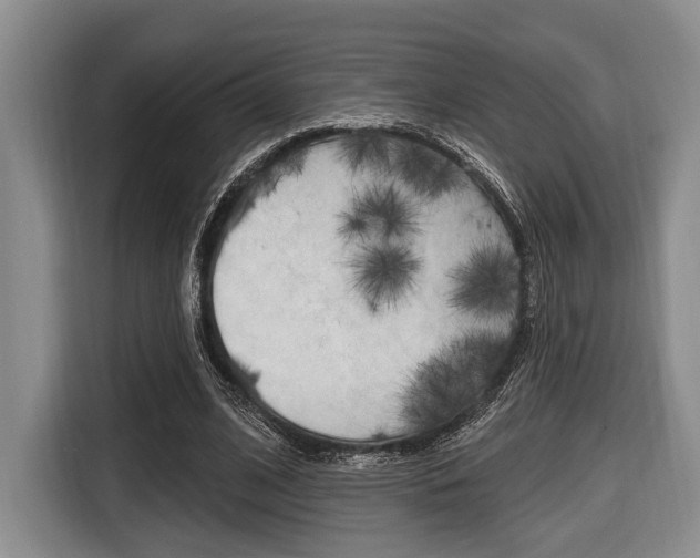 X0000116670584200912140947