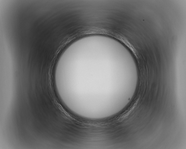 X0000116670585200912140947
