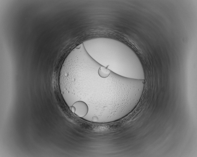 X0000116670594200912140947