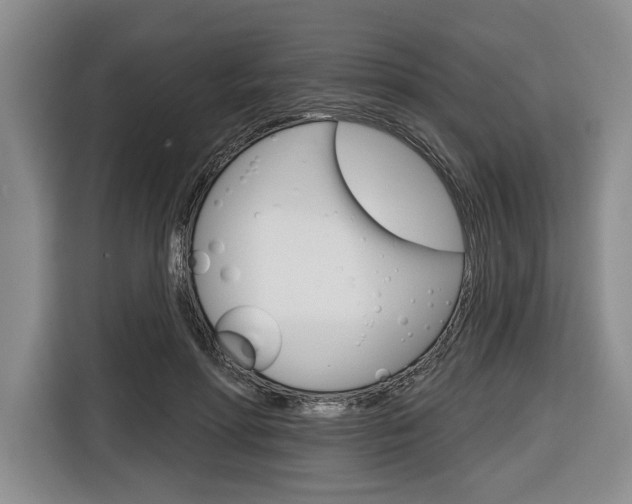 X0000116670598200912140947