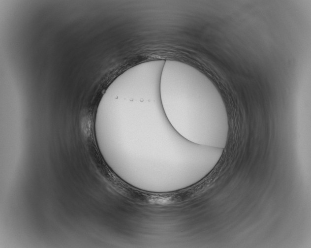X0000116670602200912140947