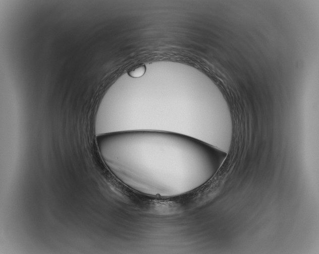 X0000116670605200912140947