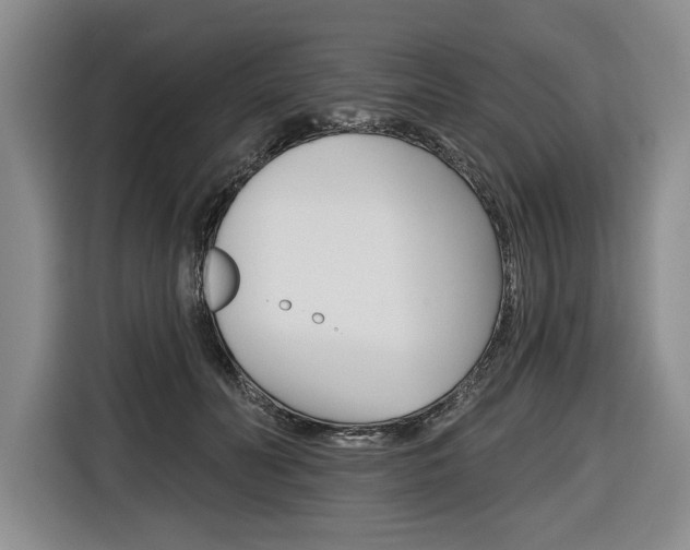X0000116670606200912140947