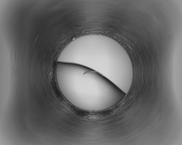 X0000116670608200912140947