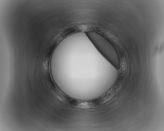 X0000116670611200912140947