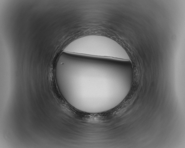 X0000116670612200912140947