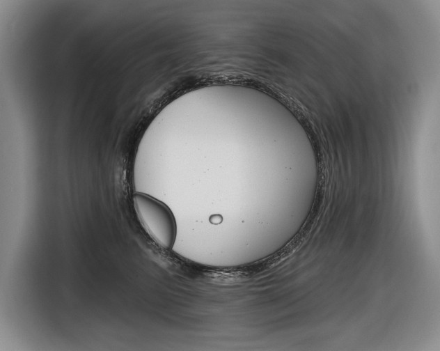 X0000116670615200912140946