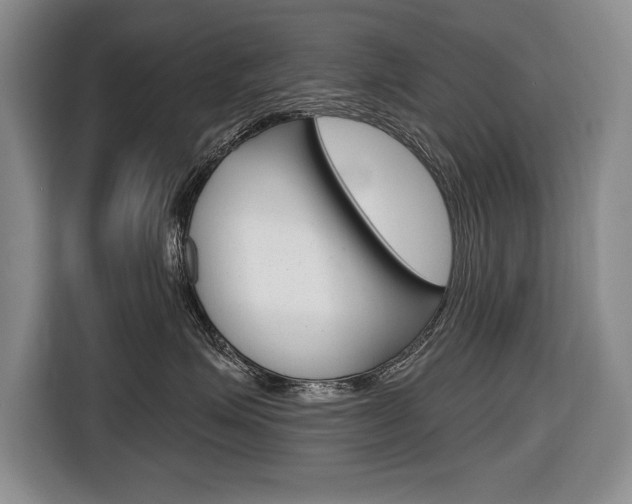 X0000116670623200912140946