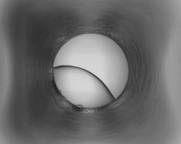 X0000116670624200912140946