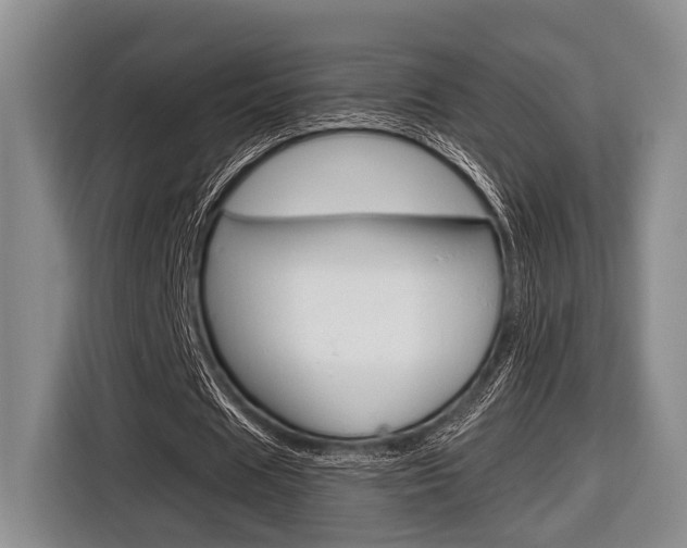 X0000116670625200912140946
