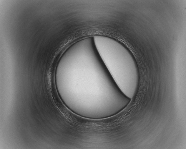 X0000116670626200912140946