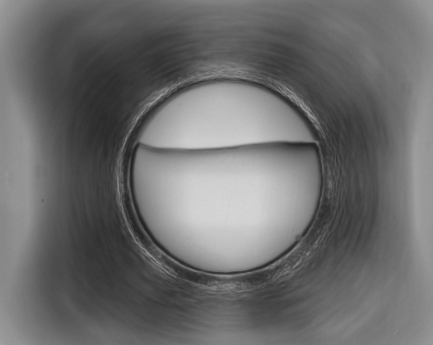 X0000116670629200912140946