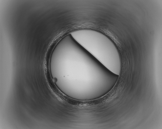 X0000116670634200912140946