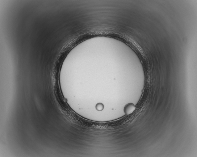 X0000116670635200912140946