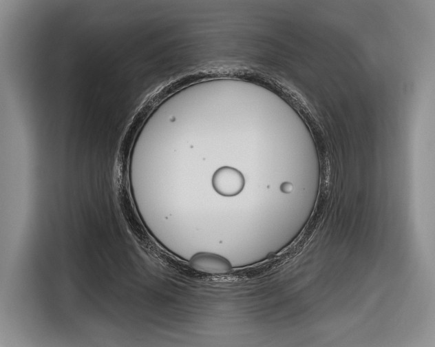 X0000116670636200912140946