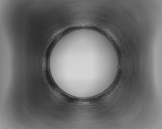 X0000116670640200912140946