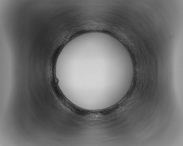 X0000116670642200912140946