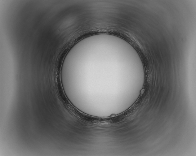 X0000116670643200912140946