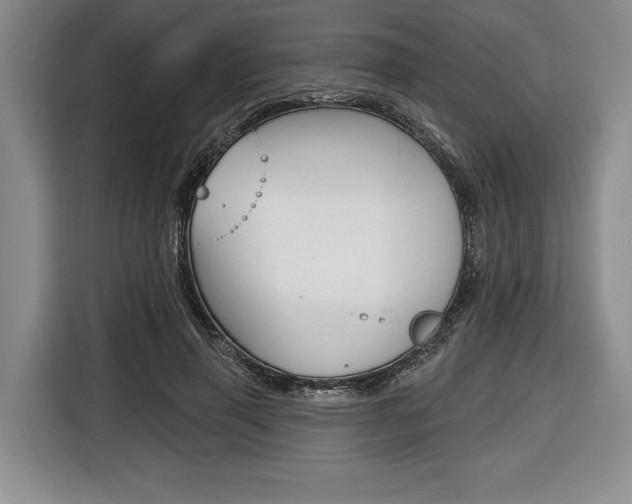 X0000116670645200912140946