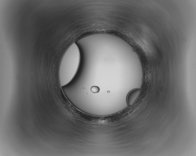 X0000116670647200912140946