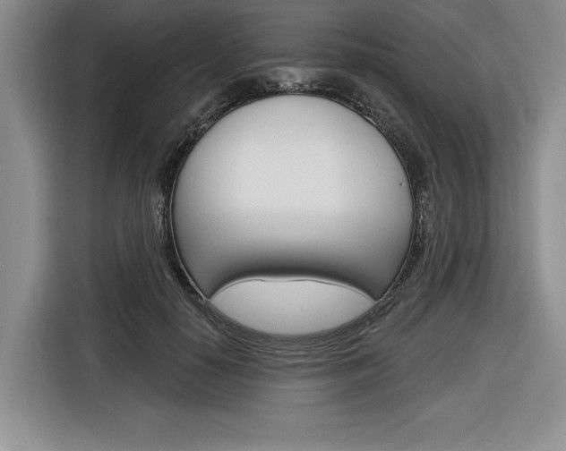 X0000116670650200912140946